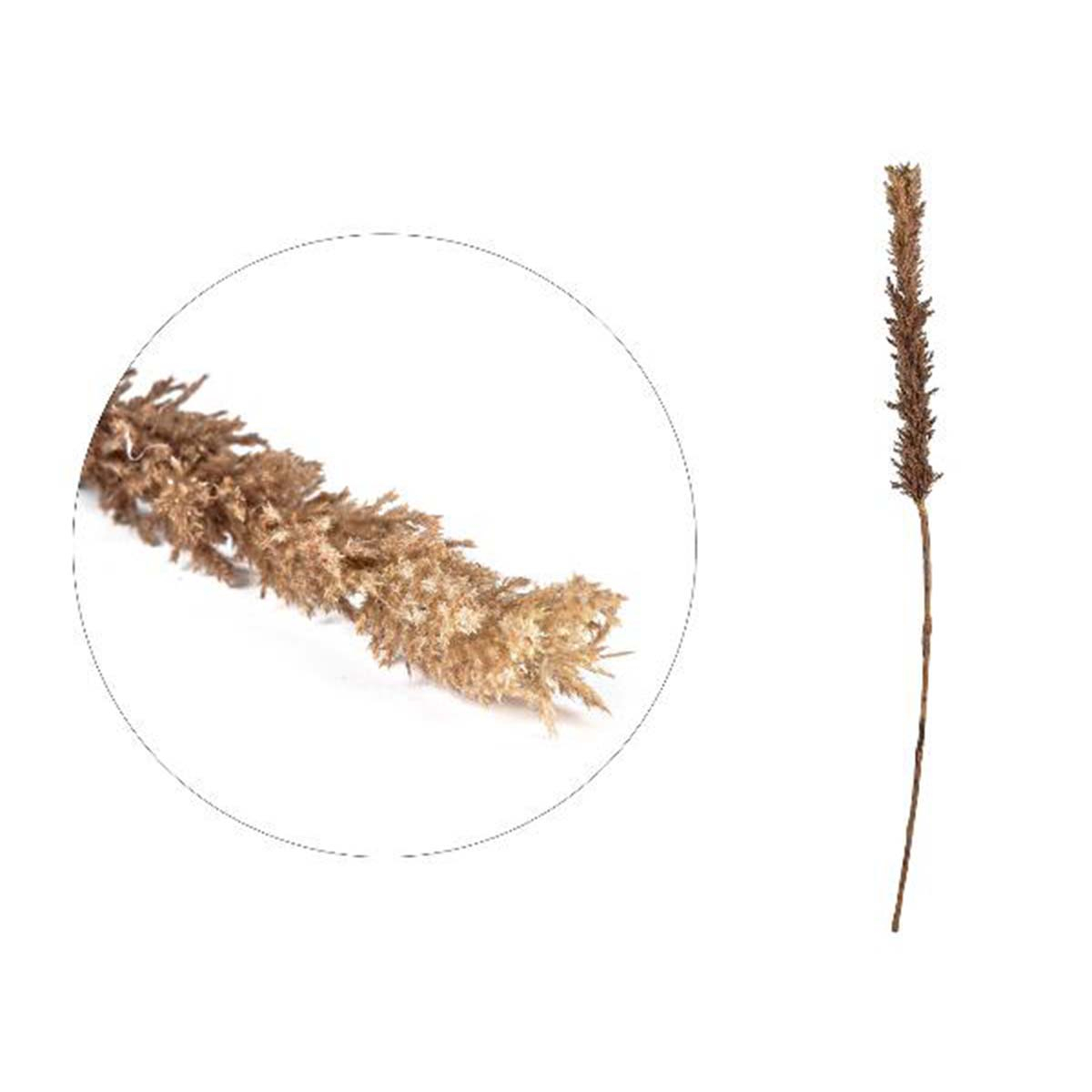 Villa Collection Kvist Grasses dark Decor 100 cm Natur