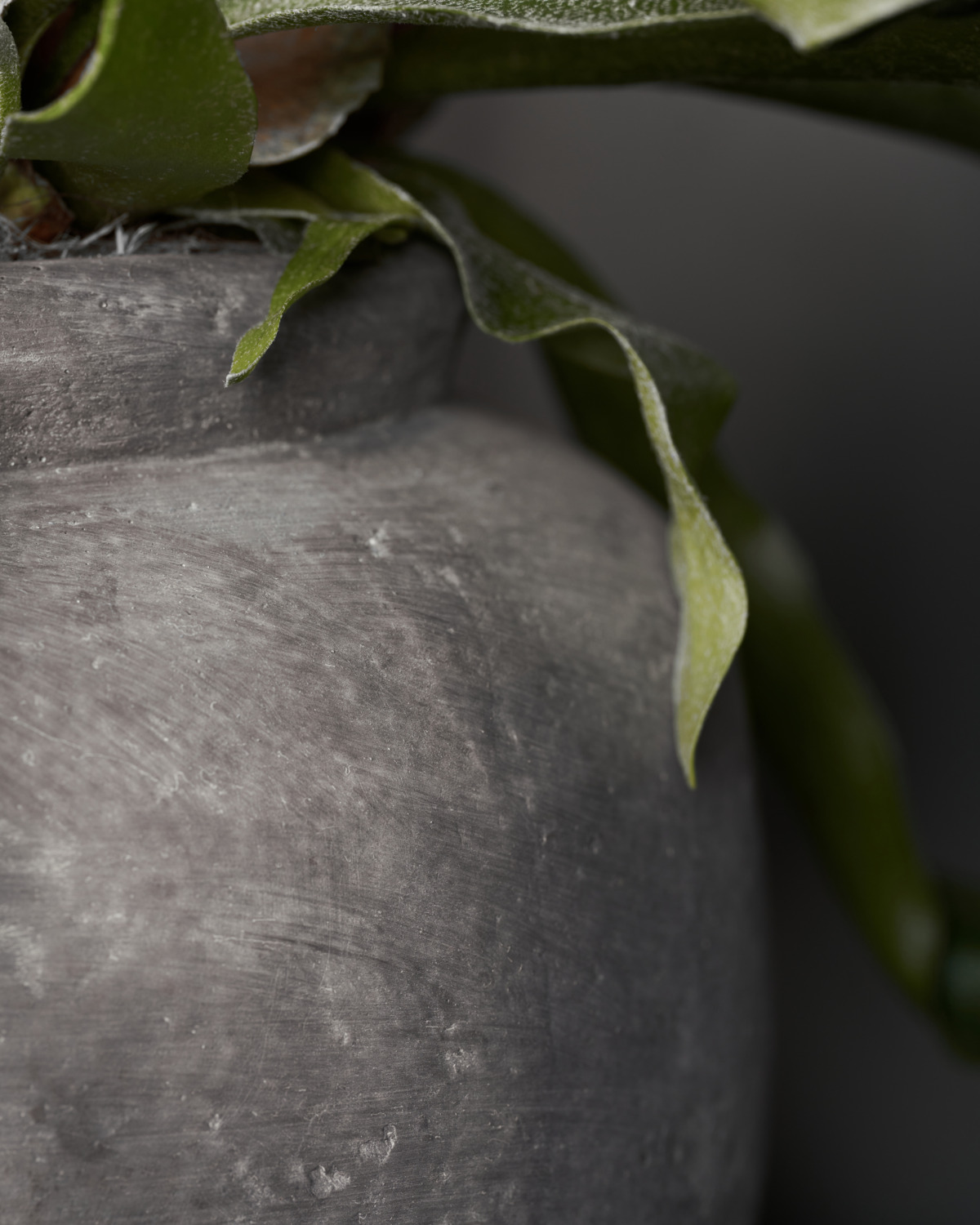 Urtepotte, Rustik, Beton