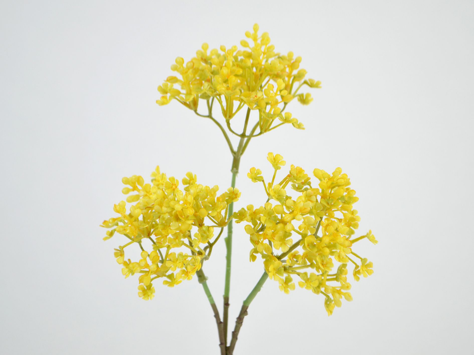 Allium Branch, 38cm, gul