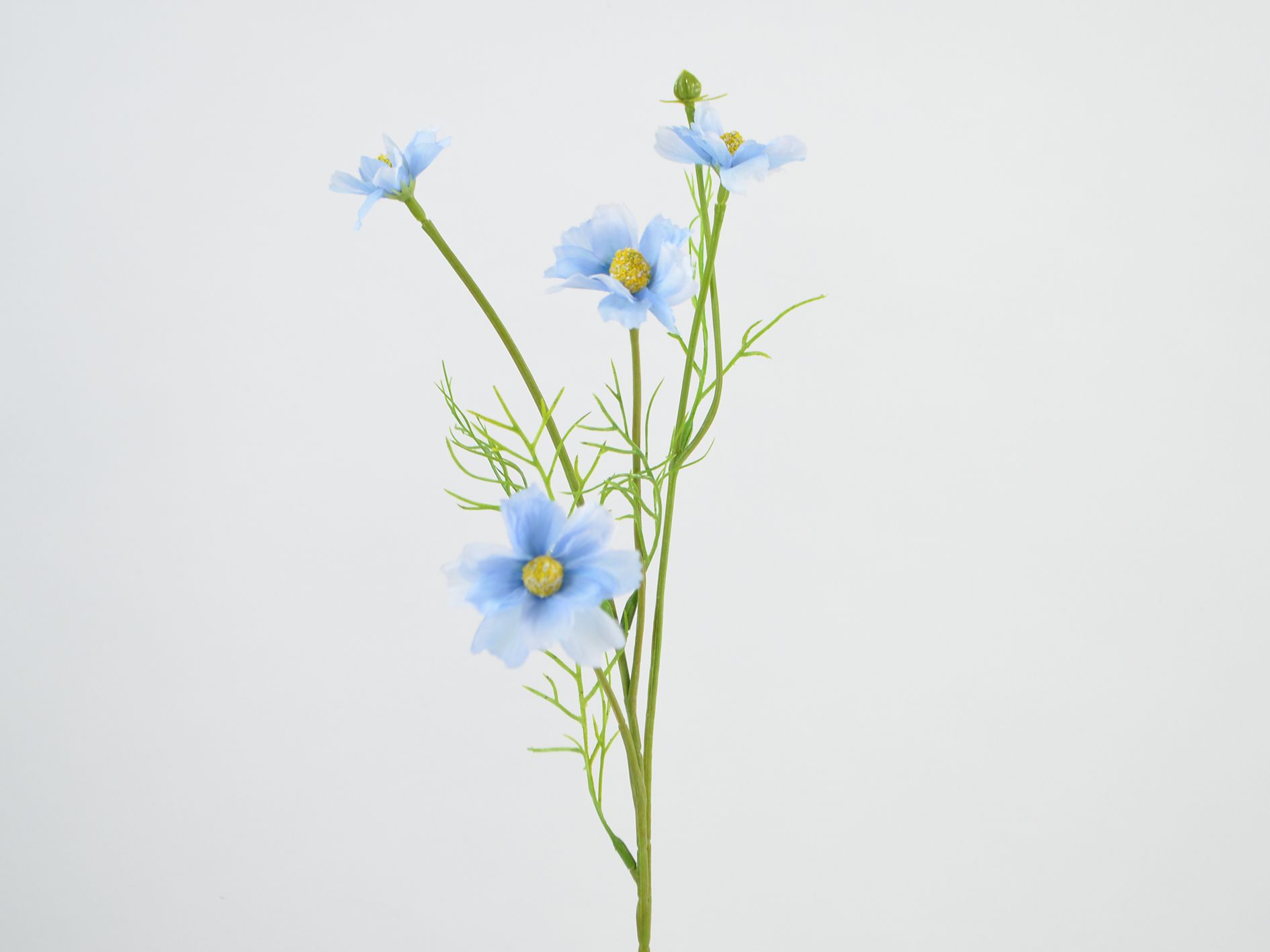 Cosmea Branch, 48 cm, blå