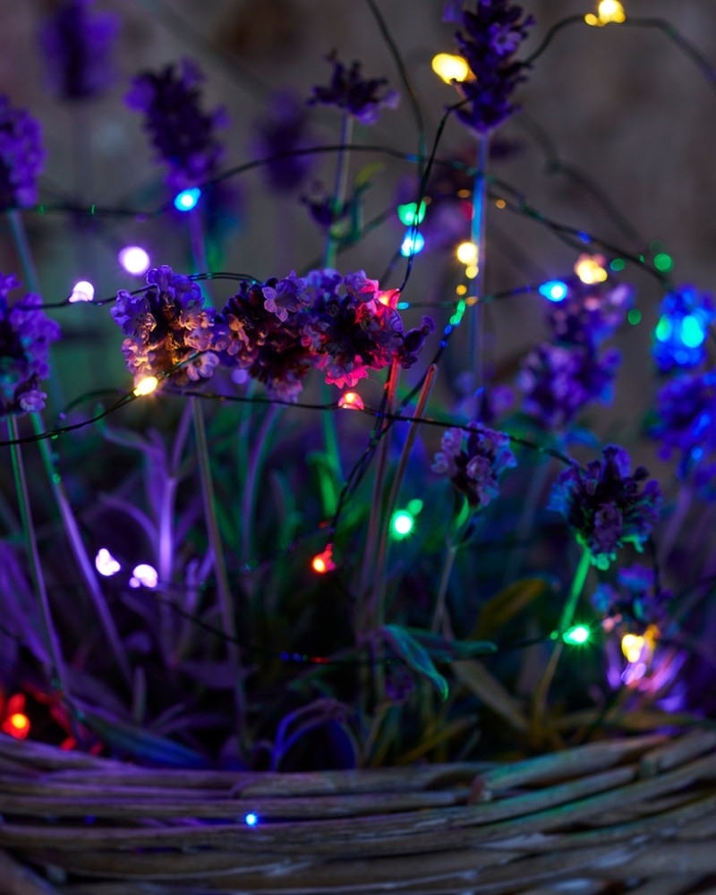 Knirke 40 lys, Multi