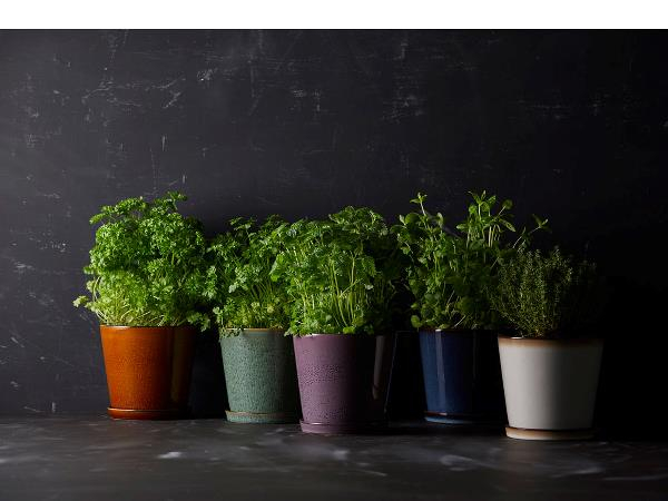 BITZ Skjuler Dia. 14 cm Grøn/sort