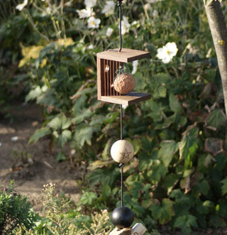 Birds Café
