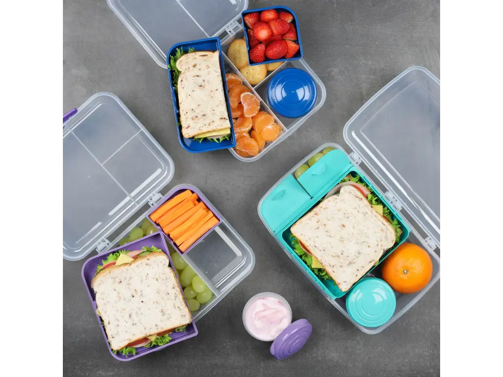 Sistema Bento Box To Go 1,76l