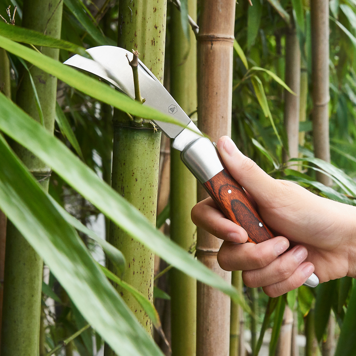 Laguiole Foldbar haveknive i etui 2 stk