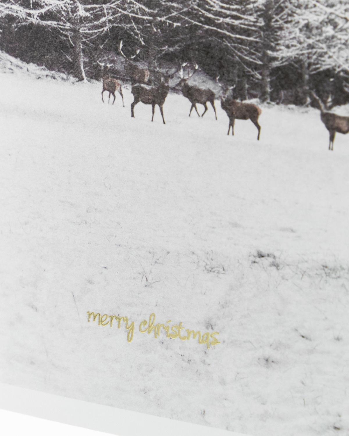 Julekort, Winter med kuvert, Hvid 6 stk