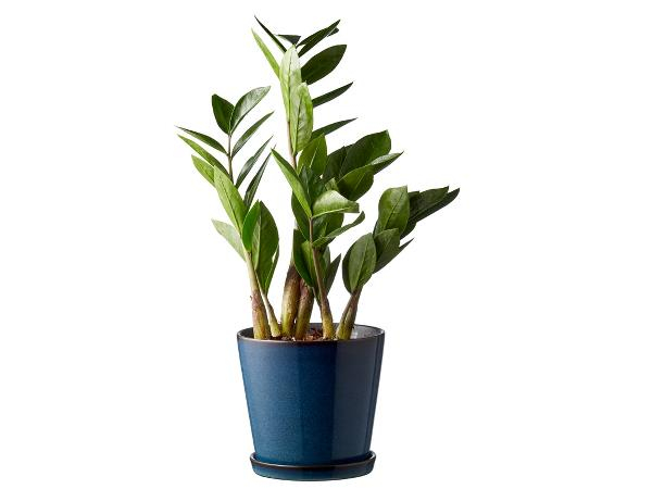 BITZ Skjuler Dia. 14 cm Mørkeblå/sort