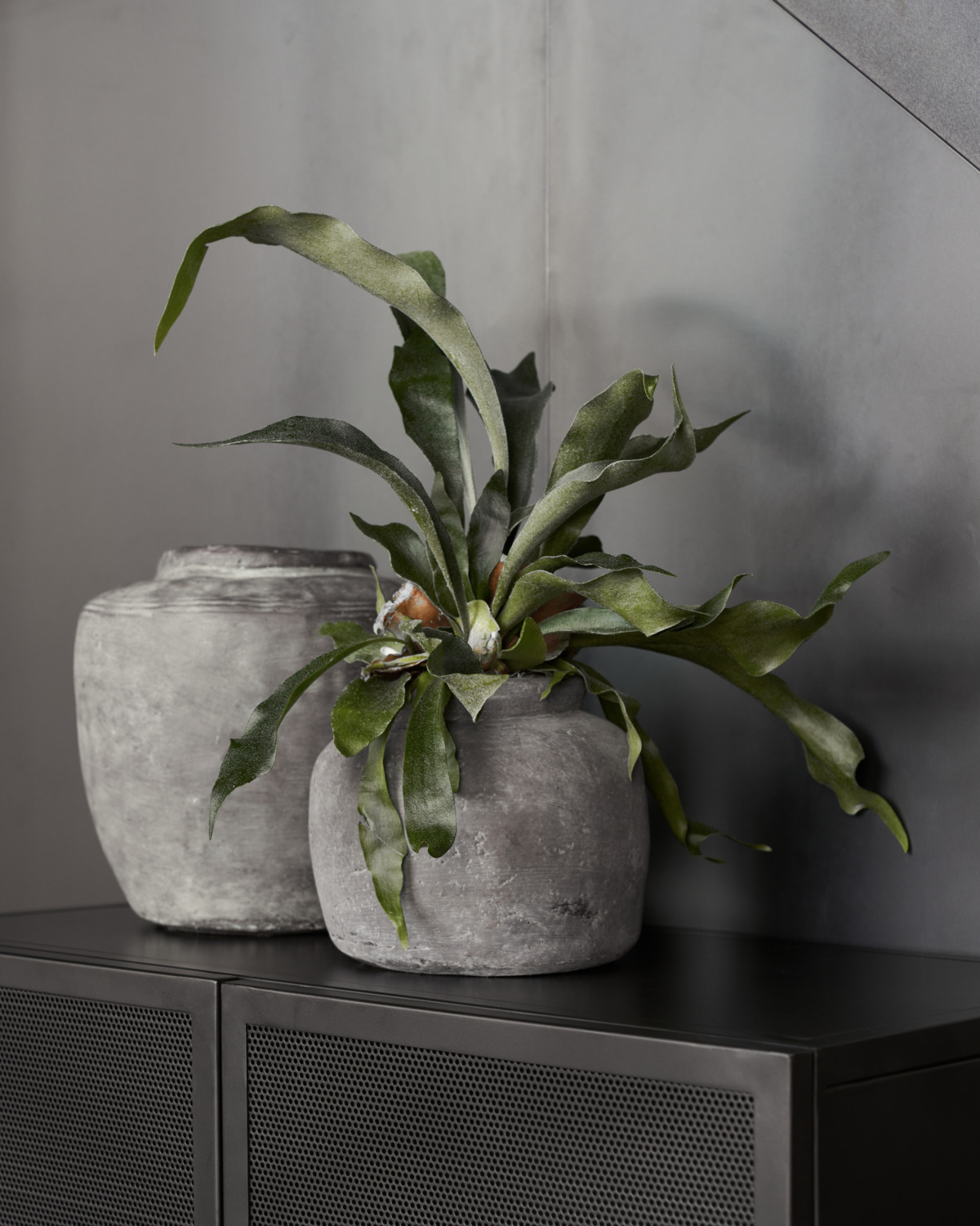 Urtepotte, Rustik, Beton