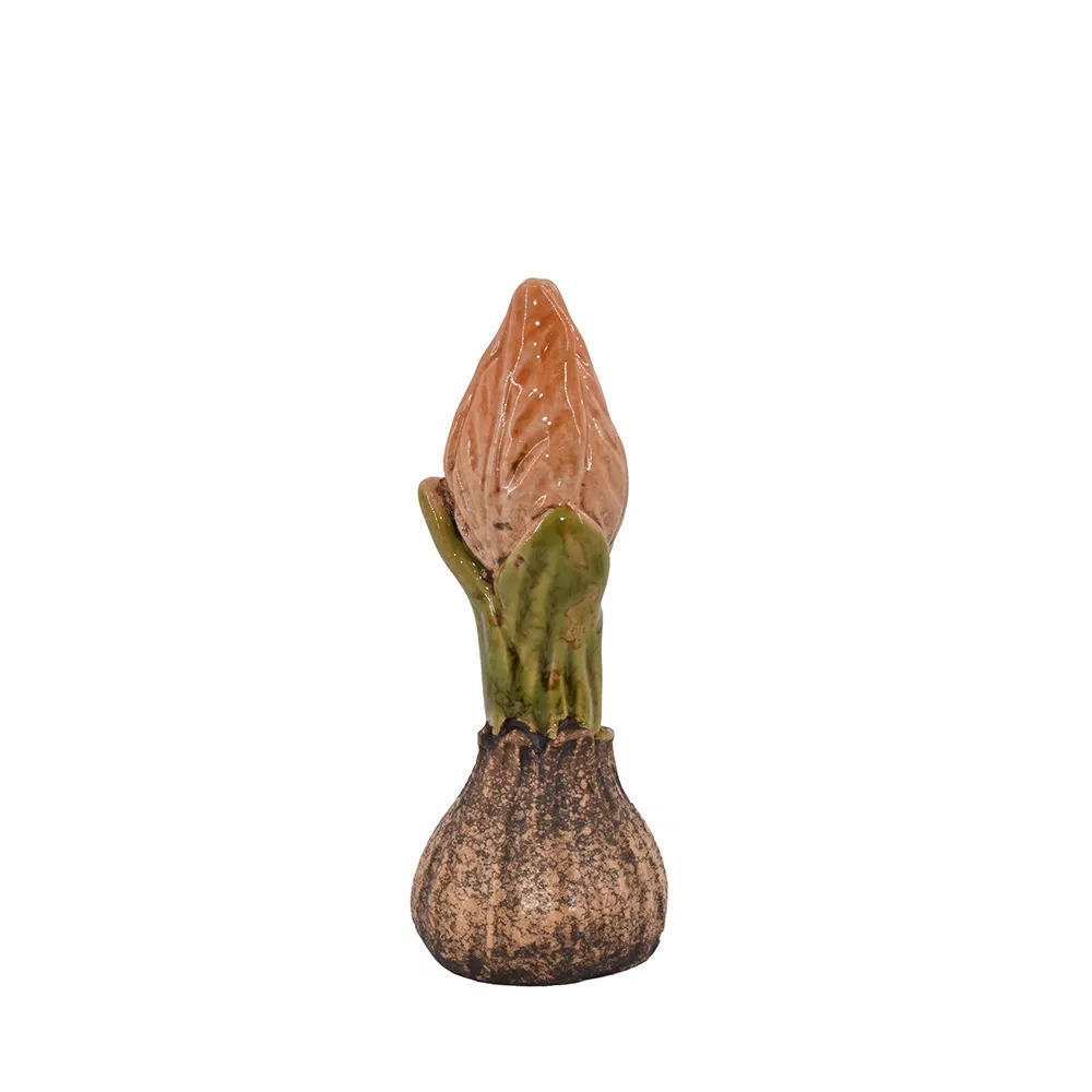 Tulipanløg, lille, orange
