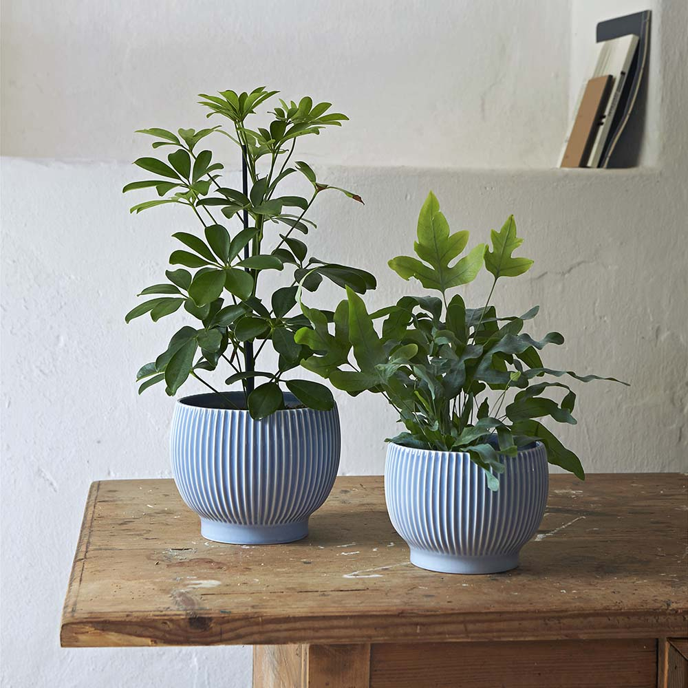 Urtepotte med riller, Ø 14,5 cm, lavendel*