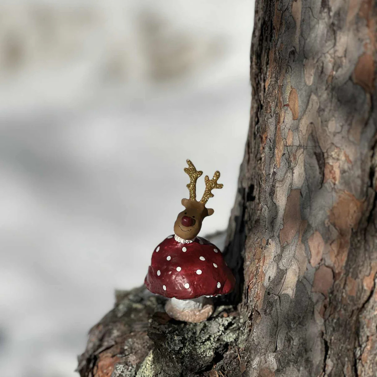 Medusa Copenhagen Mushroom Rudolf